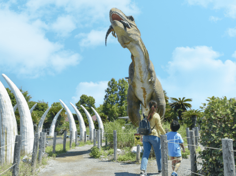 Dino Age Walk