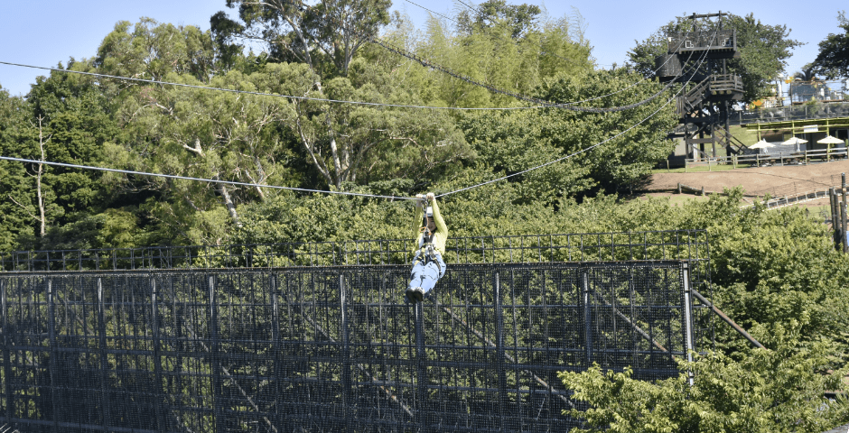 ZIPLINE 風景　正面