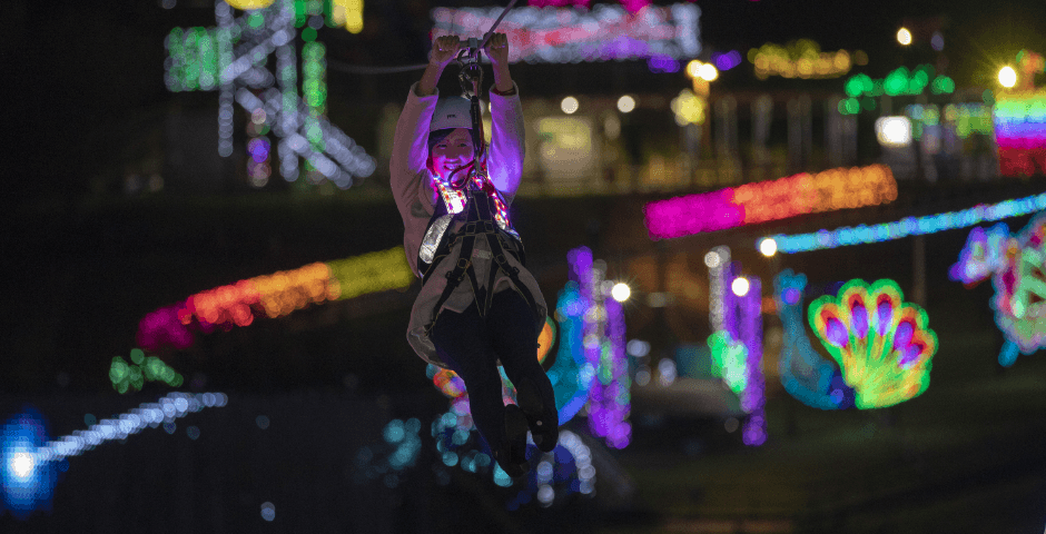 ZIPLINE 風景　夜 グランイルミ